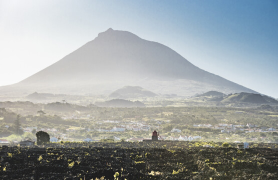 Live on Pico Island